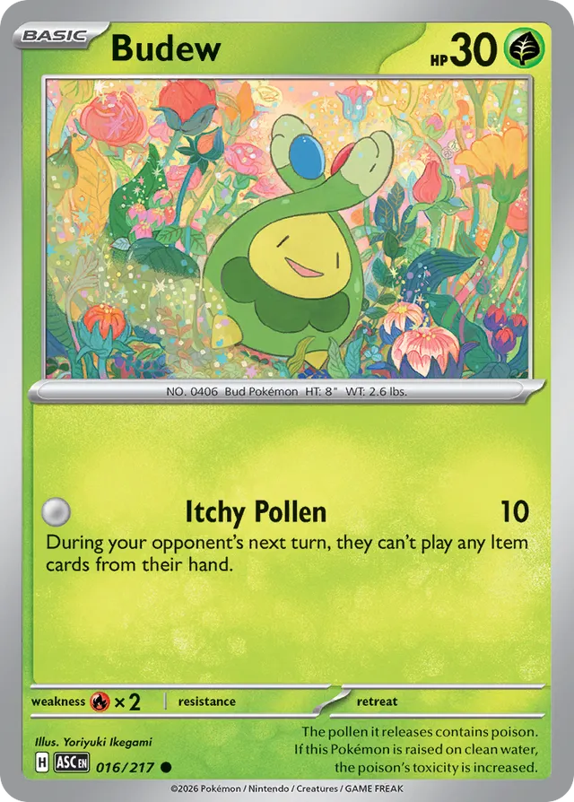 Budew: Ascended Heroes 016/217 - Pokemon Single Card