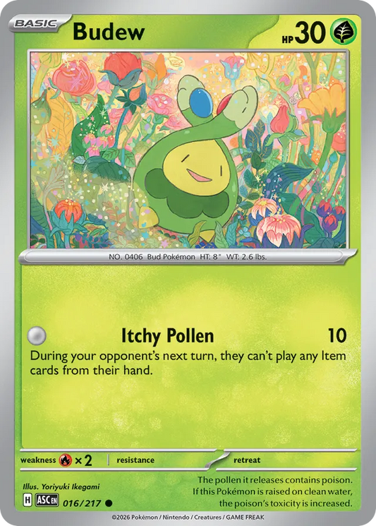 Budew: Ascended Heroes 016/217 - Pokemon Single Card