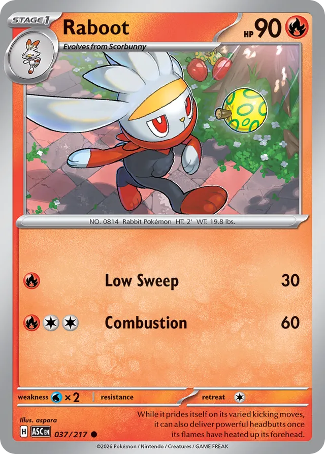 Raboot: Ascended Heroes 037/217 - Pokemon Single Card