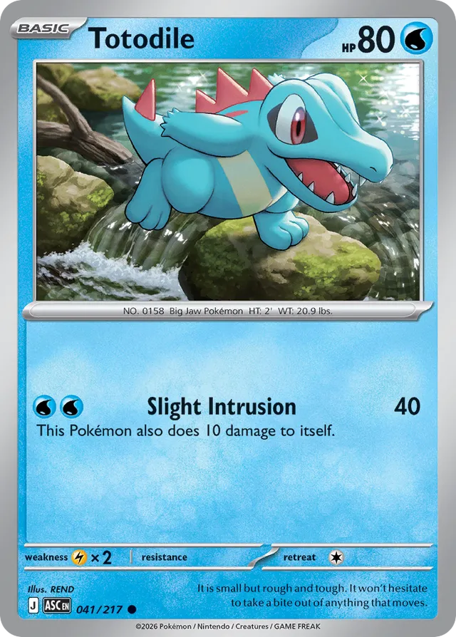 Totodile: Ascended Heroes 041/217 - Pokemon Single Card